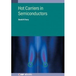 Hot Carriers in Semiconductors