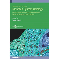 Diabetes Systems Biology: Quantitative methods for understanding beta-cell dynamics and function