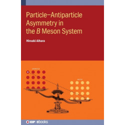 Particle–Antiparticle Asymmetry in the ?? Meson System