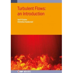 Turbulent Flows: an Introduction