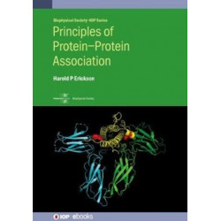 Principles of Protein–Protein Association