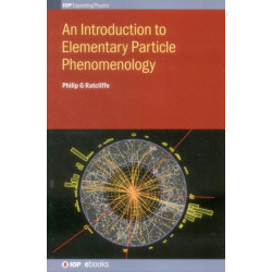 An Introduction to Elementary Particle Phenomenology