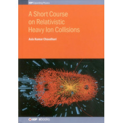 A Short Course on Relativistic Heavy Ion Collisions