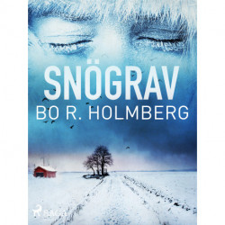 Snögrav