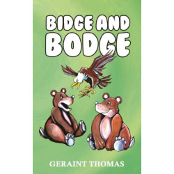 Bidge and Bodge