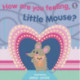 How Are You Feeling, Little Mouse?
