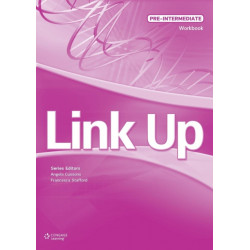 Link Up Pre-Intermediate: Workbook