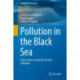 Pollution in the Black Sea: Observations about the Ocean's Pollution