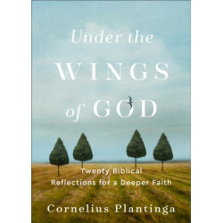 Under the Wings of God – Twenty Biblical Reflections for a Deeper Faith