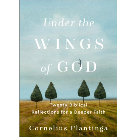 Under the Wings of God – Twenty Biblical Reflections for a Deeper Faith