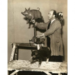 Tony Sarg: Genius at Play: Adventures in Illustration, Puppetry, and Popular Culture