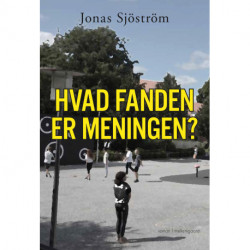Hvad fanden er meningen?