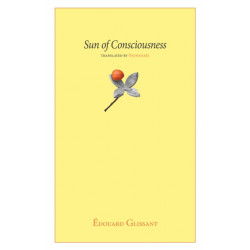 Sun of Consciousness