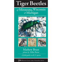 TigerBeetlesof Minnesota, Wisconsin & Michigan