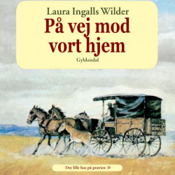 Det lille hus på prærien 10 - På vej mod vort hjem: dagbog ført på en rejse fra Syd Dakota til Mansfield, Missouri i 1894