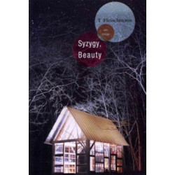 Syzygy, Beauty: An Essay