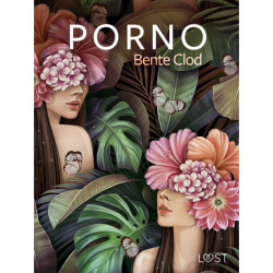 Porno – erotisk novelle