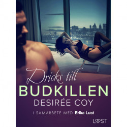 Dricks till budkillen - erotisk novell