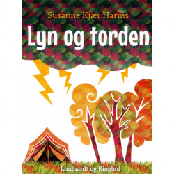 Lyn og torden