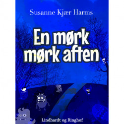 En mørk mørk aften