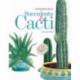 A Splendour of Succulents & Cacti