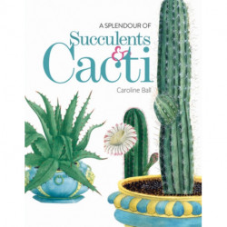 A Splendour of Succulents & Cacti