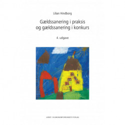 Gældssanering i praksis: og gældssanering i konkurs