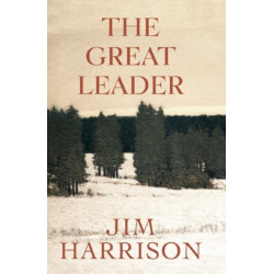 The Great Leader: A Faux Mystery