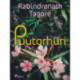Puutarhuri