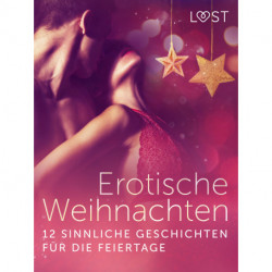 Erotische Weihnachten: 12 sinnliche Geschichten für die Feiertage