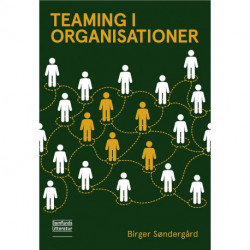 Teaming i organisationer