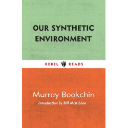 Our Synthetic Environment