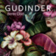 Gudinder – erotisk novelle