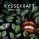 Kyssekraft – erotisk novelle