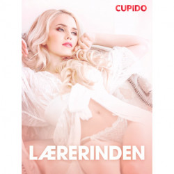Lærerinden – erotiske noveller