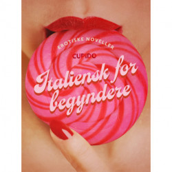 Italiensk for begyndere - erotiske noveller