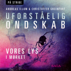 Uforståelig ondskab - Vores lys i mørket