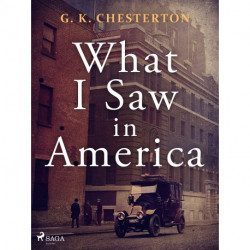 What I Saw in America