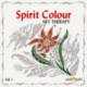 Spirit Colour: Art Therapy Vol. I