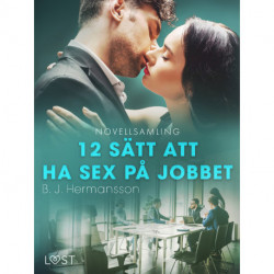 12 sätt att ha sex på jobbet - novellsamling