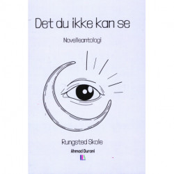 Det du ikke kan se - Novelleantologi - Rungsted Skole