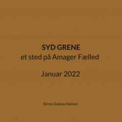 Syd Grene: et sted på Amager Fælled Januar 2022
