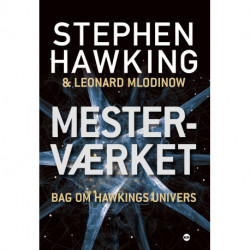 Mesterværket: Bag om Hawkings univers