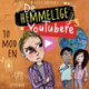De Hemmelige Youtubere 3 - To mod en
