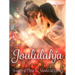 Joululahja – eroottinen novelli
