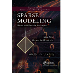 Sparse Modeling: Theory, Algorithms, and Applications