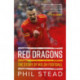 Red Dragons - The Story of Welsh Football: New Expanded Edition