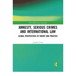 Amnesty, Serious Crimes and International Law: Global Perspectives in Theory and Practice