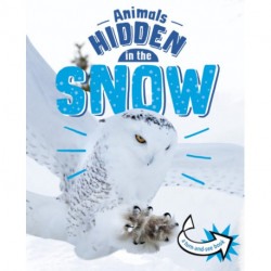Animals Hidden in the Snow