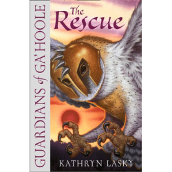The Rescue